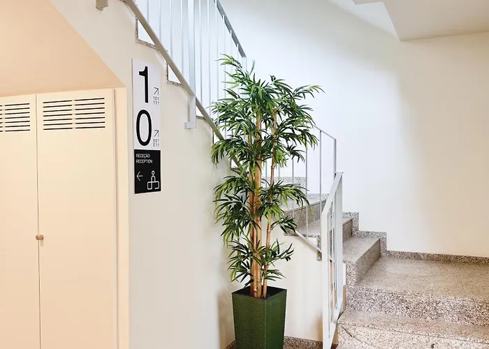 Standard Foz Cool Living