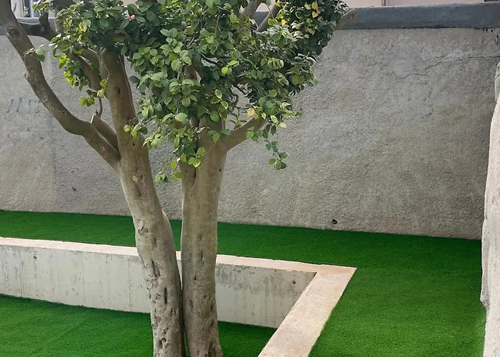 Standard Foz Cool Living Apartment Porto