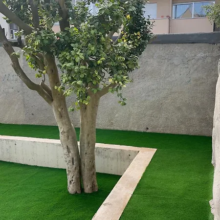 Standard Foz Cool Living Apartamento Oporto